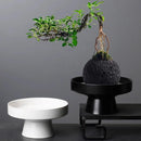 Vaso de Cerâmica Artesanal Criativo com Flores Artificiais